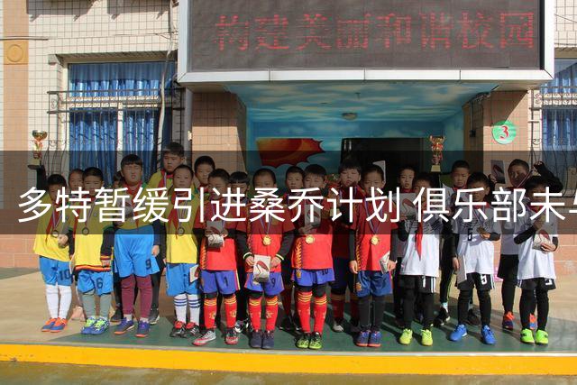 多特暂缓引进桑乔计划 俱乐部未与球员团队接洽